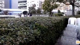 吸着真舒服